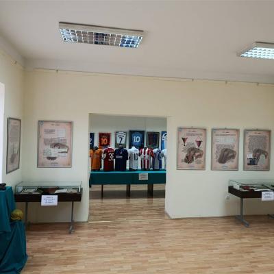 Izlozba Sportski Klubovi U Pancevu U Meduratnom Periodu Kristijan Varga 4